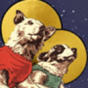 Meet your Posher, William